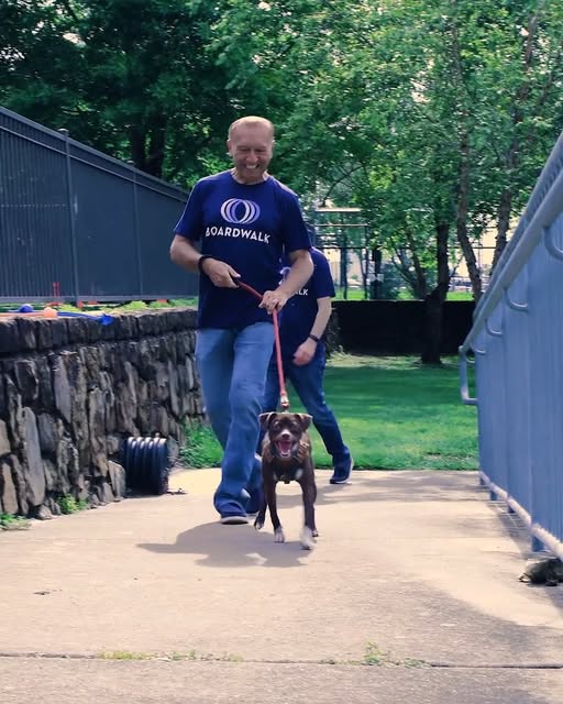 Boardwalk employee walking a dog on a community path